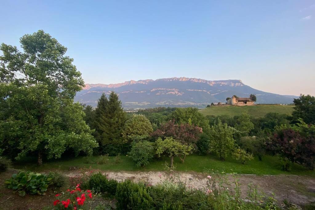 Apartament Au Calme Avec Vue Magnifique A Saint Maximin Zewnętrze zdjęcie